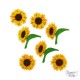 Boutons Dress It Up : Sunflowers / Tournesol - Boutons 3D