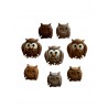 Boutons Dress It Up : Whoo Owl - Hibou - Boutons 3D